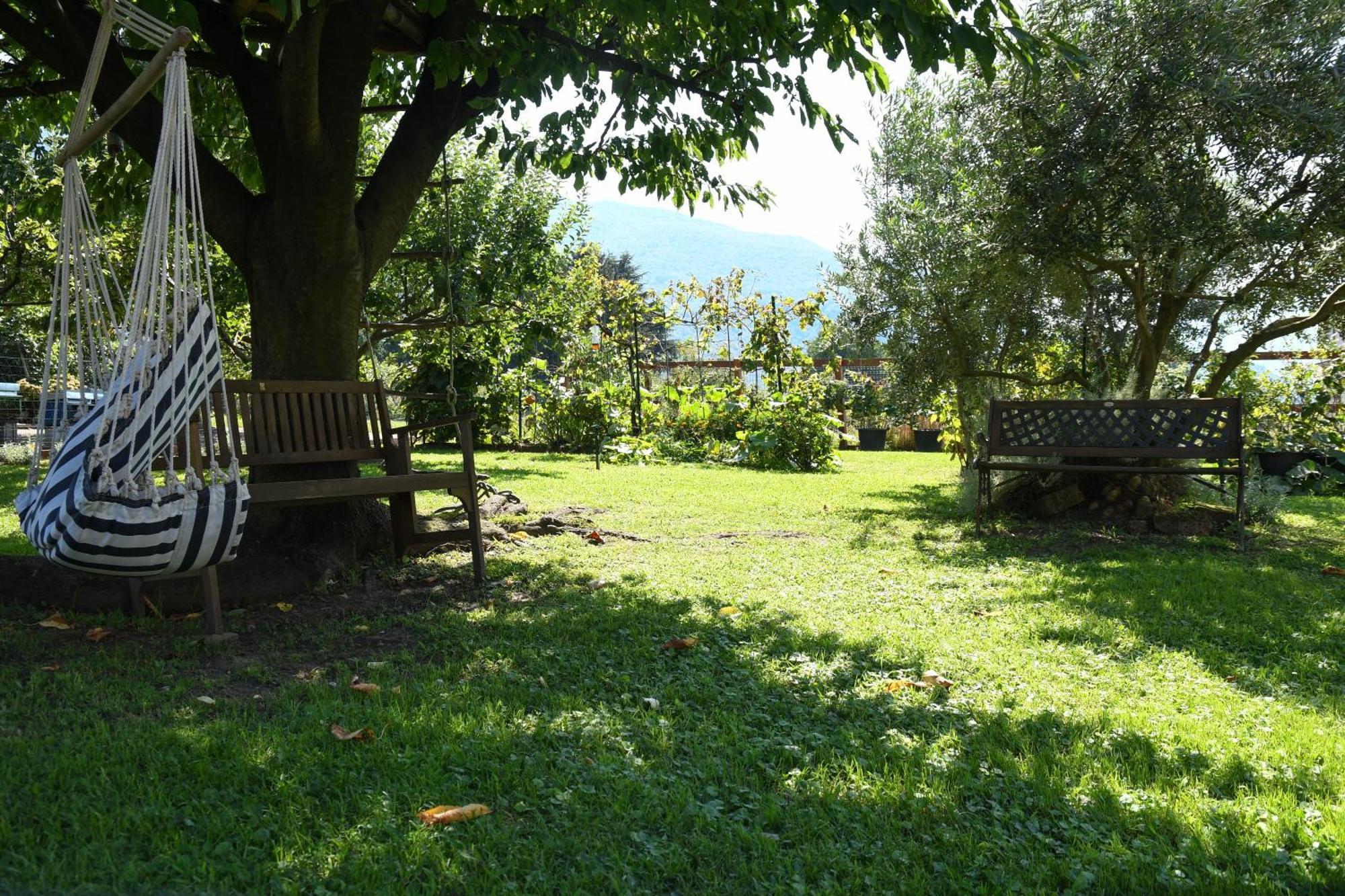Il Giardino Dei Ciliegi Διαμέρισμα Colico Εξωτερικό φωτογραφία
