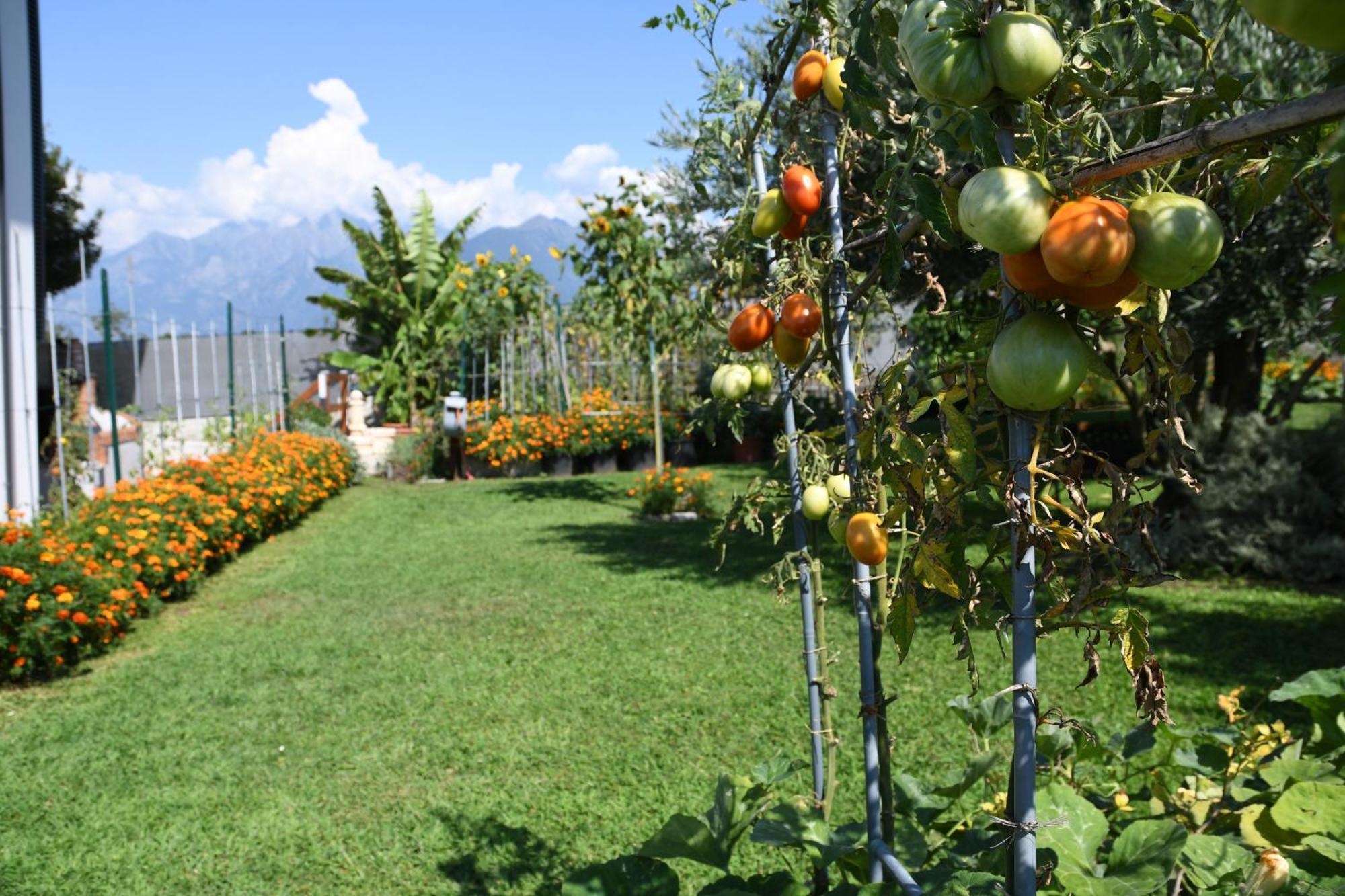 Il Giardino Dei Ciliegi Διαμέρισμα Colico Εξωτερικό φωτογραφία